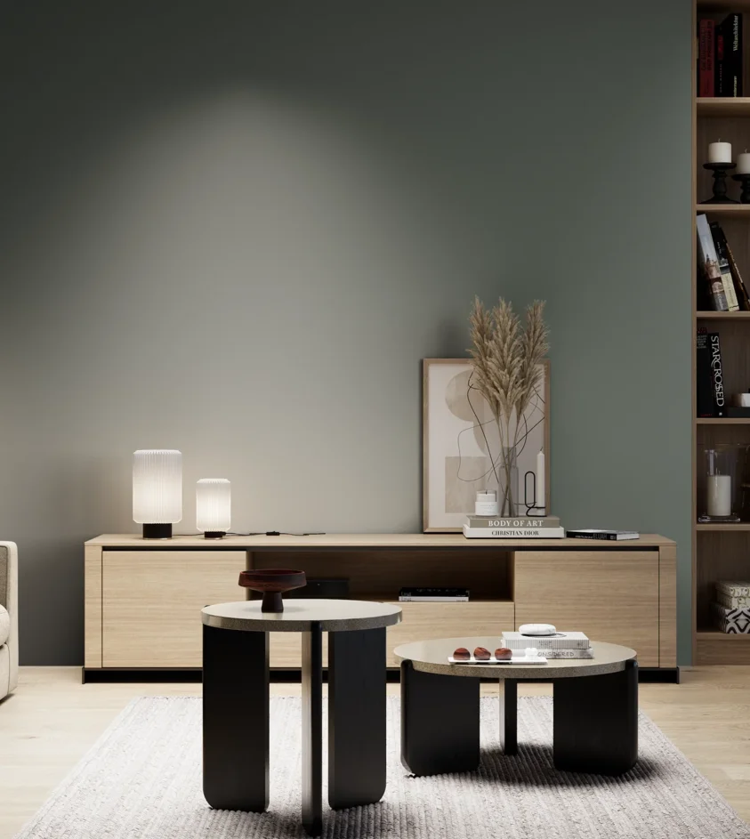 P10_SNIEZKA_salon_05_zimne_GREY_S6005-G