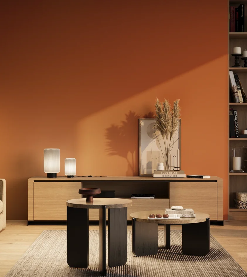 P10_SNIEZKA_salon_03_wieczor_GREY_RAL2004