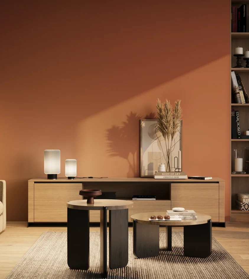 P10_SNIEZKA_salon_03_wieczor_GREY_RAL2012
