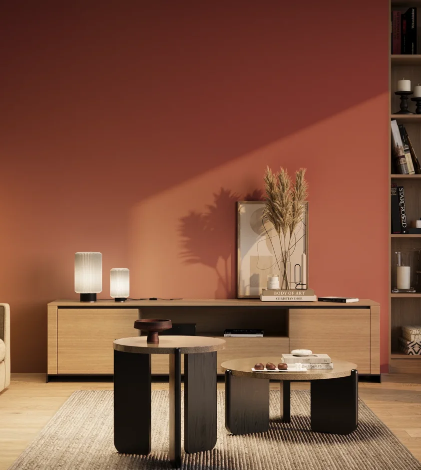 P10_SNIEZKA_salon_03_wieczor_GREY_RAL3018