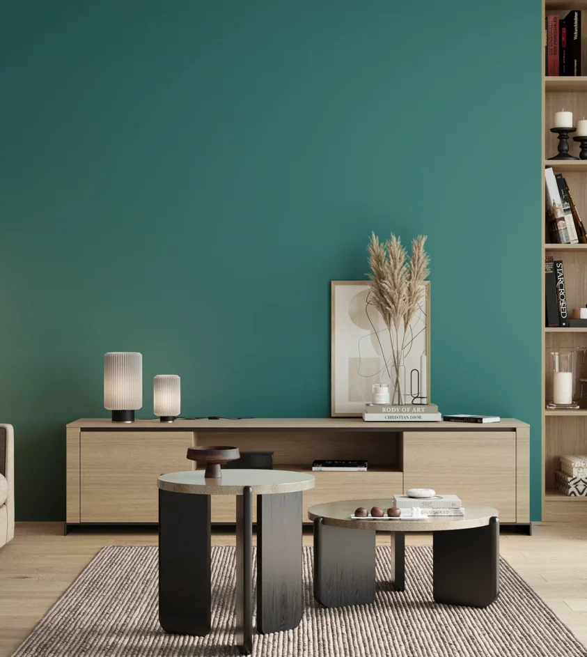 P10_SNIEZKA_salon_00_neutral_GREY_RAL5018