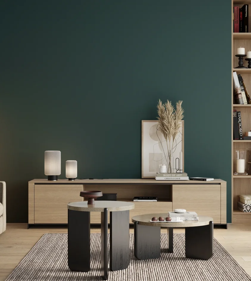 P10_SNIEZKA_salon_00_neutral_GREY_RAL5020