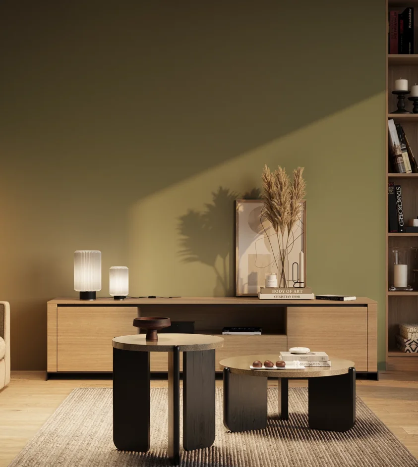 P10_SNIEZKA_salon_03_wieczor_GREY_RAL6011