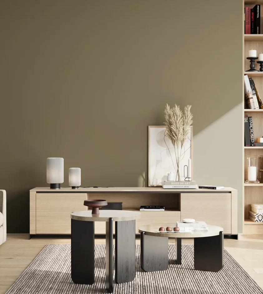 P10_SNIEZKA_salon_02_poludnie_GREY_RAL6013