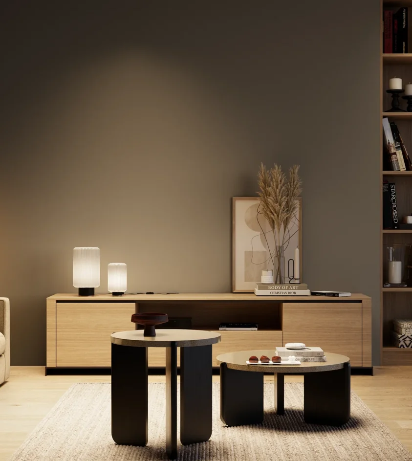 P10_SNIEZKA_salon_04_cieple_GREY_RAL7022