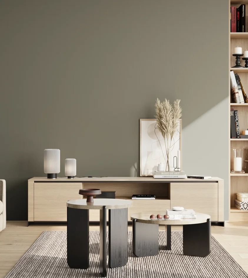 P10_SNIEZKA_salon_02_poludnie_GREY_RAL7033