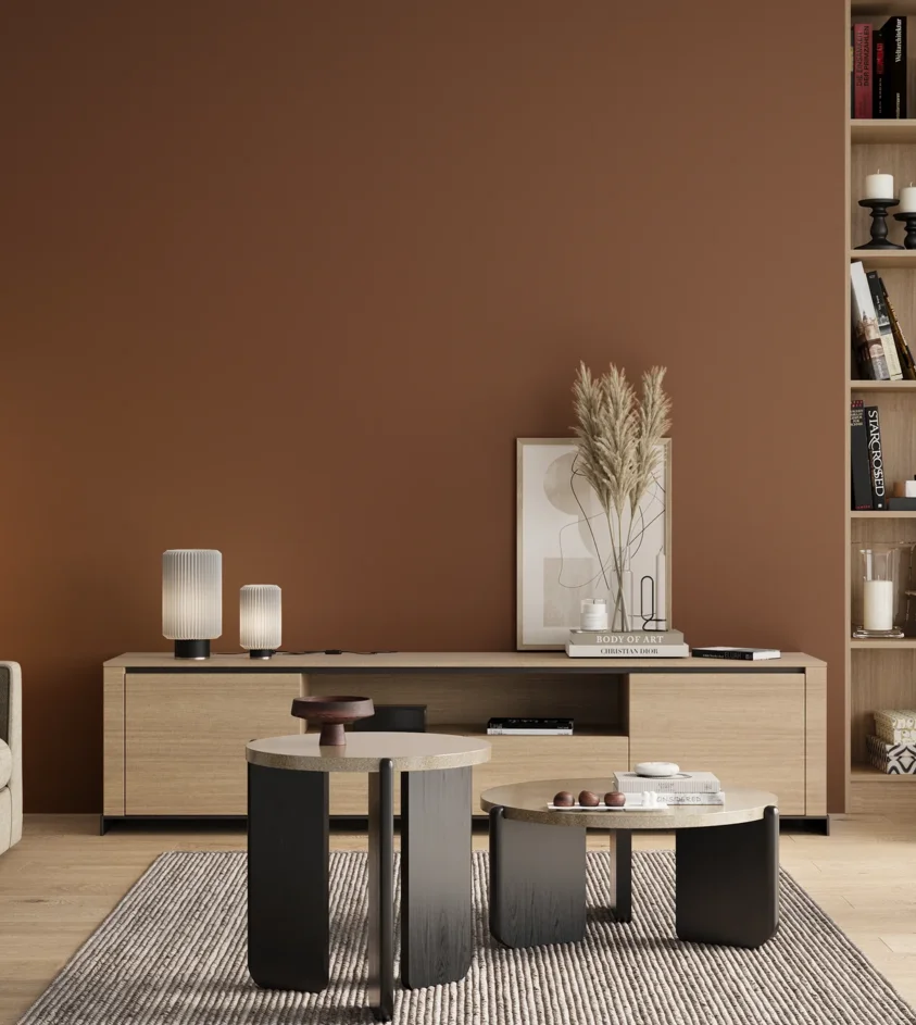 P10_SNIEZKA_salon_00_neutral_GREY_RAL8003