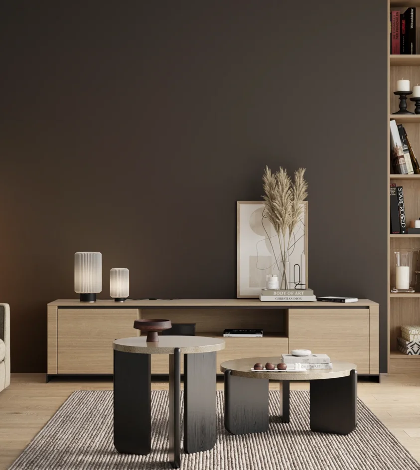 P10_SNIEZKA_salon_00_neutral_GREY_RAL9004
