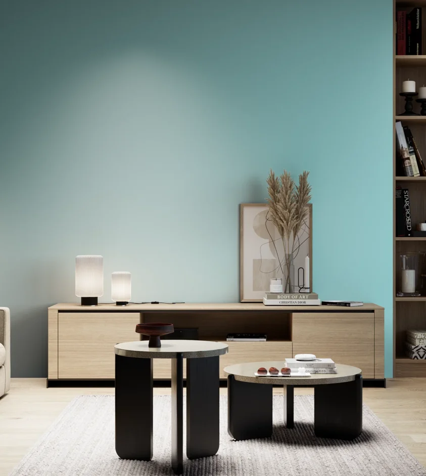 P10_SNIEZKA_salon_05_zimne_GREY_S0530-B30G