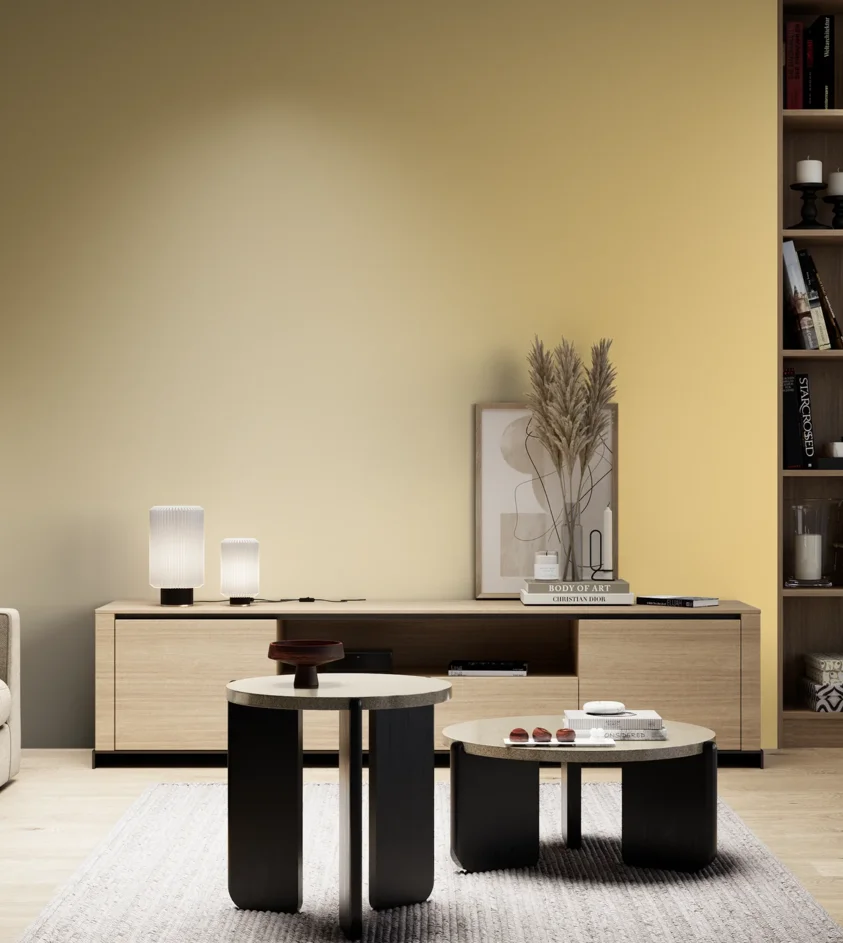 P10_SNIEZKA_salon_05_zimne_GREY_S0530-Y10R