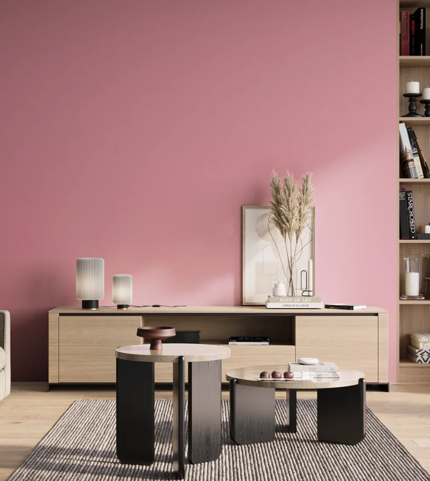P10_SNIEZKA_salon_01_poranek_GREY_S0540-R20B
