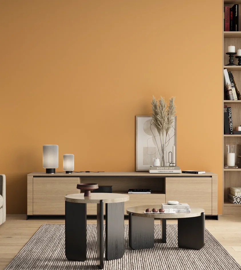 P10_SNIEZKA_salon_00_neutral_GREY_S0540-Y30R