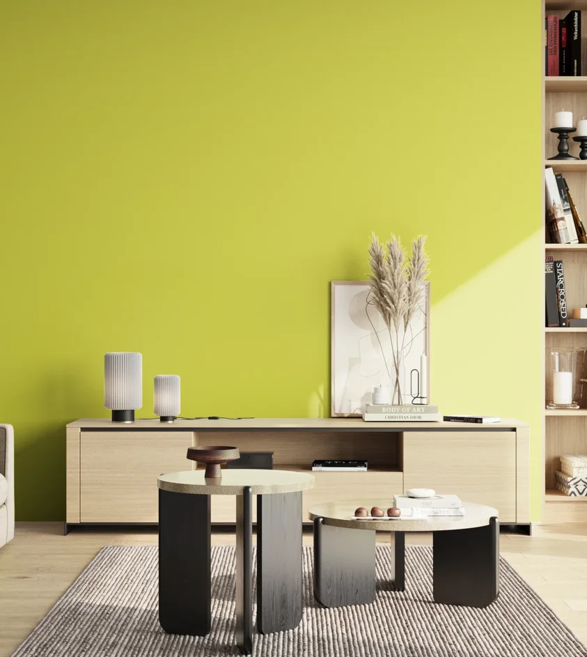 P10_SNIEZKA_salon_02_poludnie_GREY_S0560-G70Y