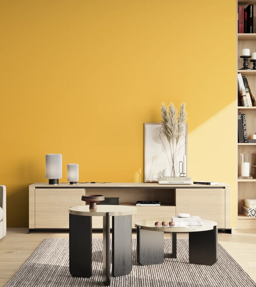 P10_SNIEZKA_salon_02_poludnie_GREY_S0560-Y10R