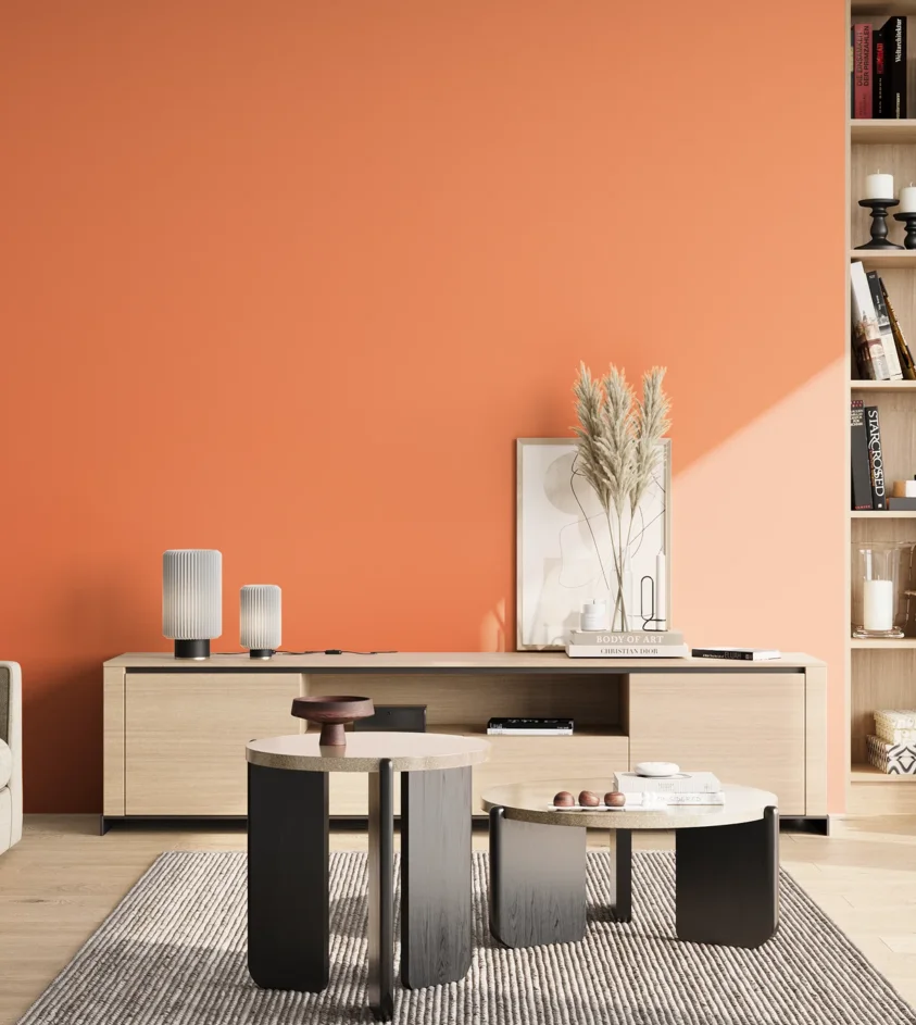 P10_SNIEZKA_salon_02_poludnie_GREY_S0560-Y60R