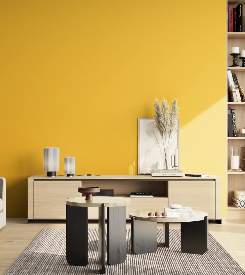 P10_SNIEZKA_salon_02_poludnie_GREY_S0570-Y10R