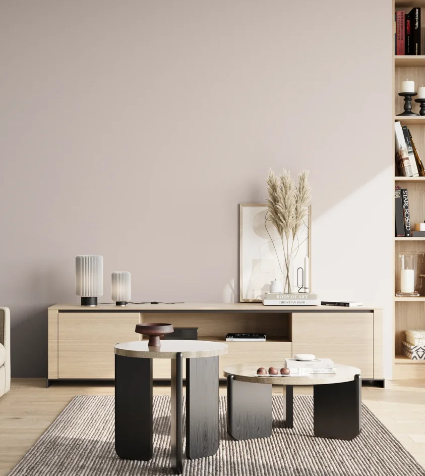 P10_SNIEZKA_salon_02_poludnie_GREY_S1005-R10B