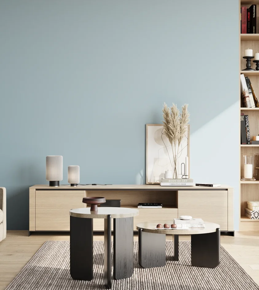 P10_SNIEZKA_salon_02_poludnie_GREY_S1015-B