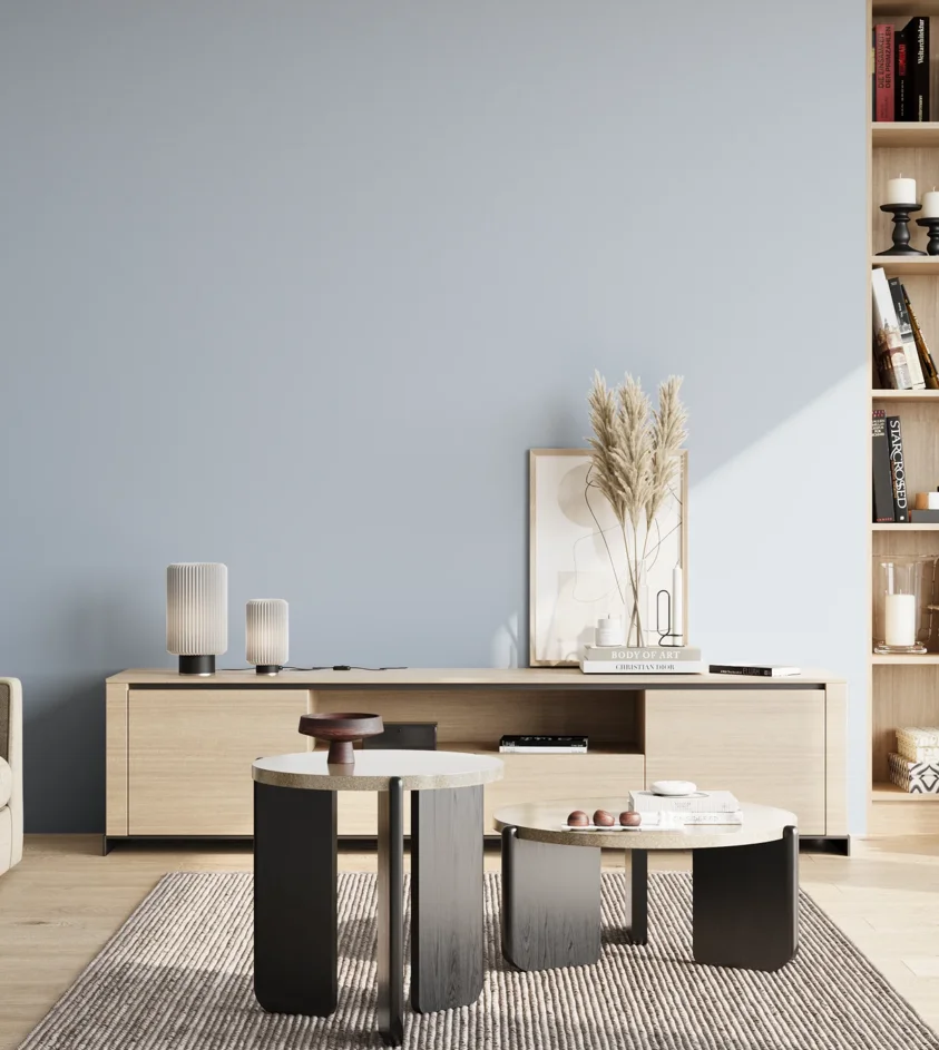P10_SNIEZKA_salon_02_poludnie_GREY_S1015-R80B