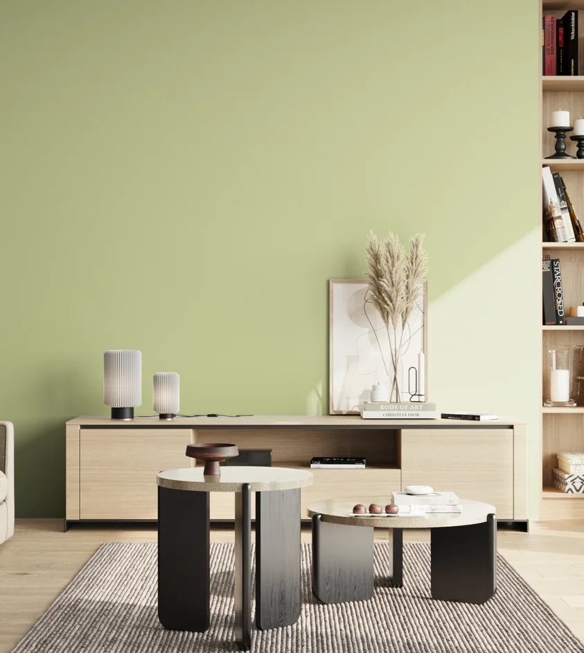 P10_SNIEZKA_salon_02_poludnie_GREY_S1020-G50Y