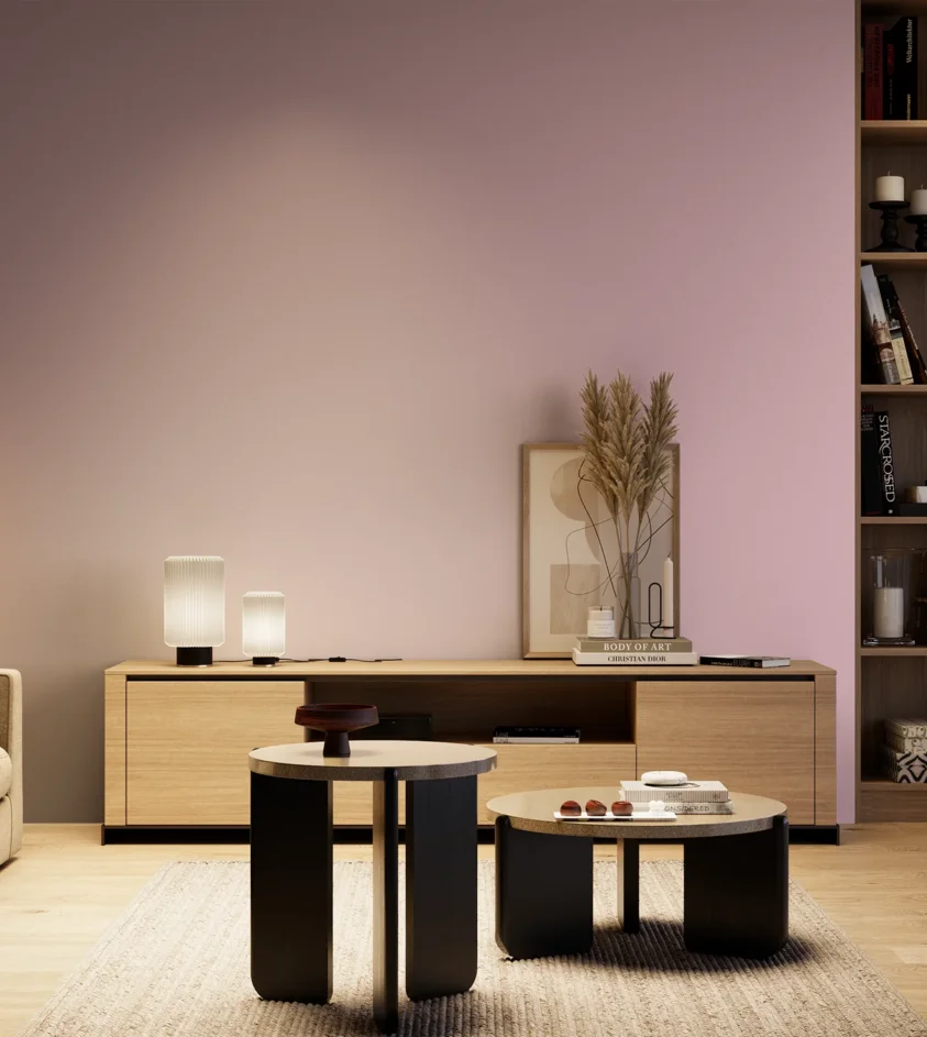 P10_SNIEZKA_salon_04_cieple_GREY_S1020-R30B