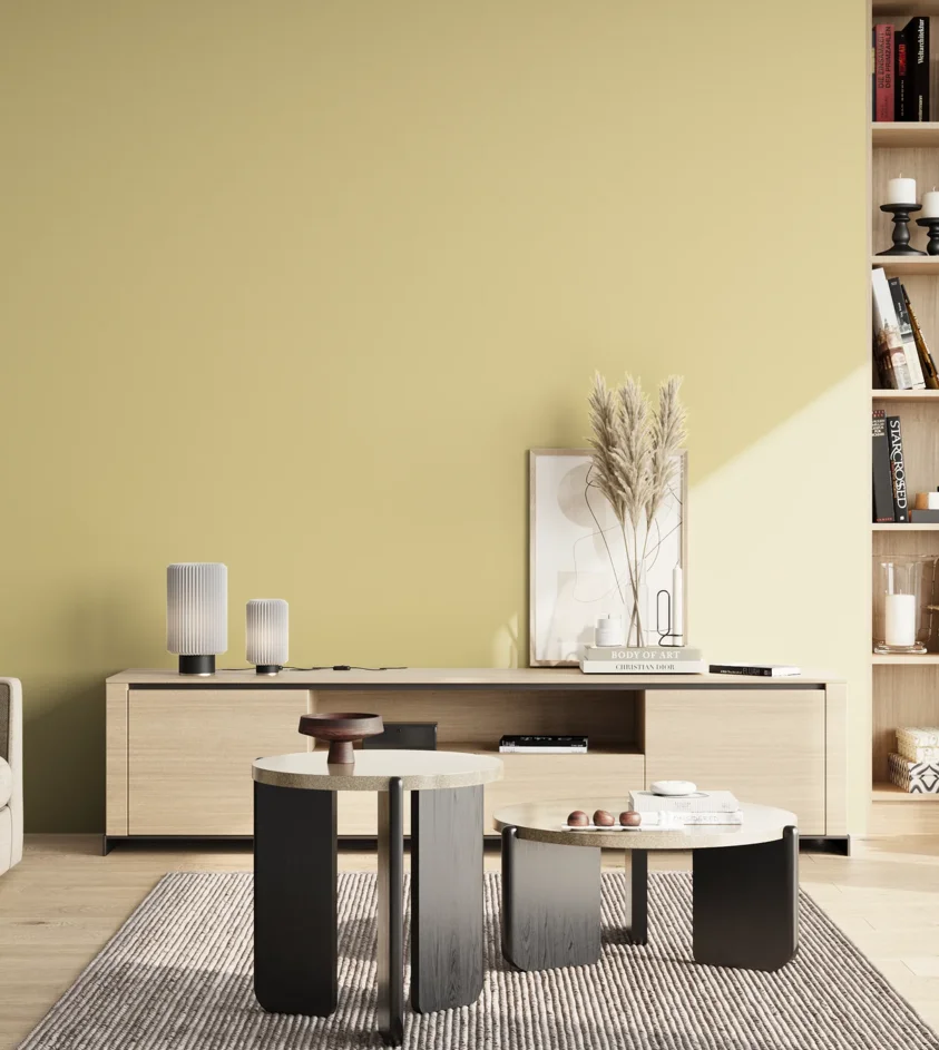 P10_SNIEZKA_salon_02_poludnie_GREY_S1020-Y