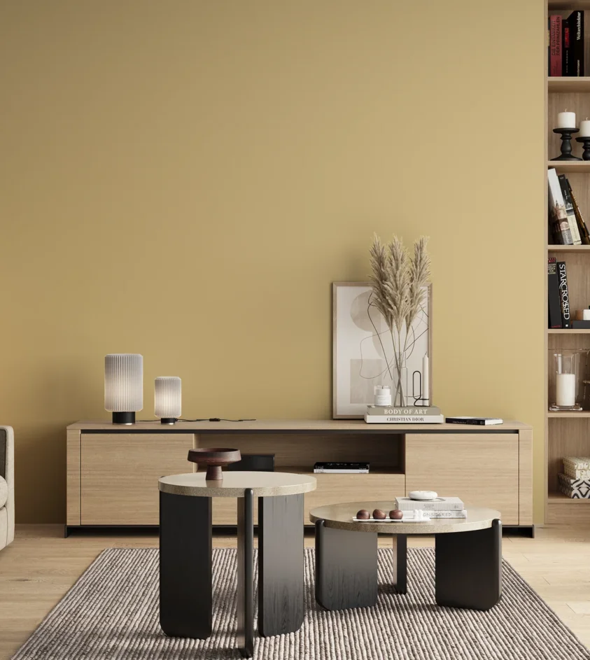 P10_SNIEZKA_salon_00_neutral_GREY_S1020-Y10R