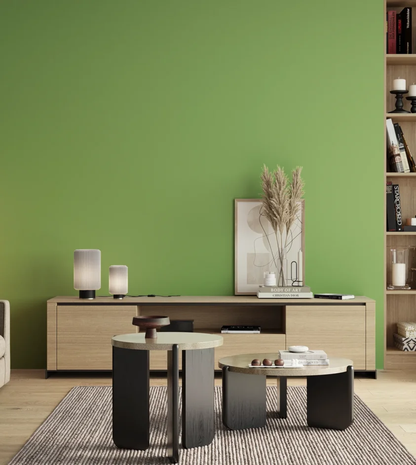 P10_SNIEZKA_salon_00_neutral_GREY_S1050-G30Y