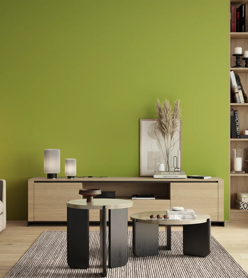P10_SNIEZKA_salon_00_neutral_GREY_S1060-G50Y