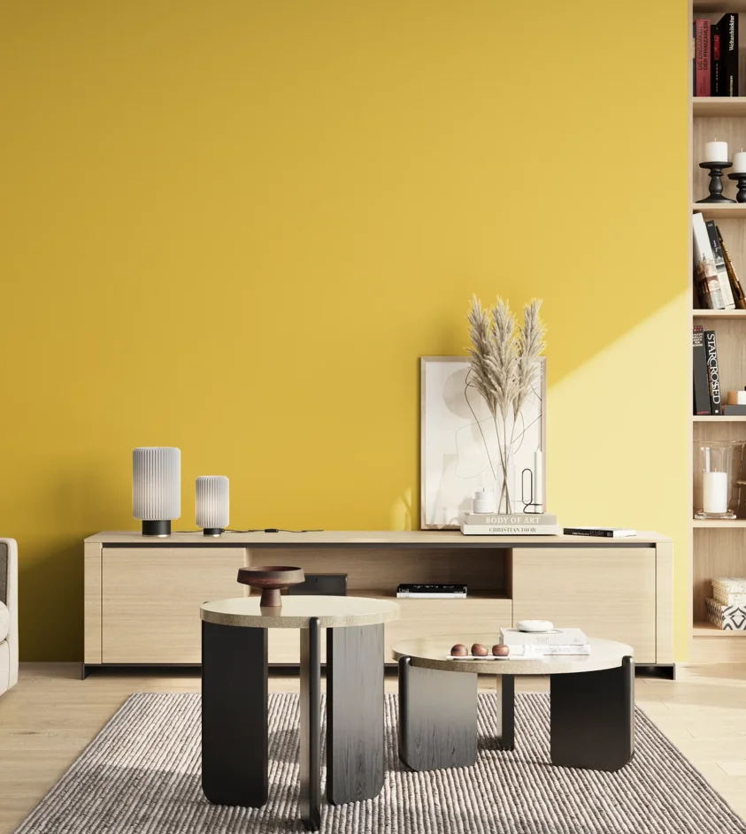 P10_SNIEZKA_salon_02_poludnie_GREY_S1060-Y