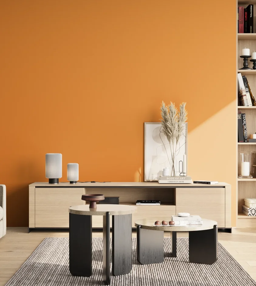 P10_SNIEZKA_salon_02_poludnie_GREY_S1070-Y30R