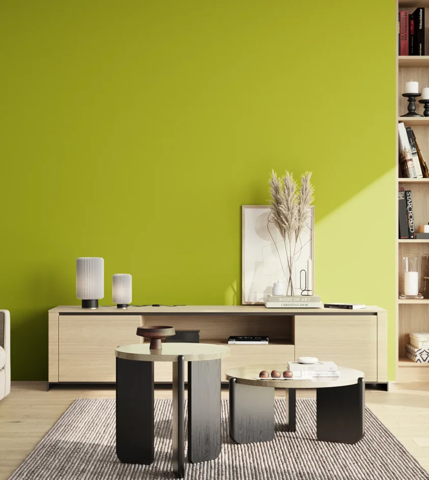 P10_SNIEZKA_salon_02_poludnie_GREY_S1075-G60Y
