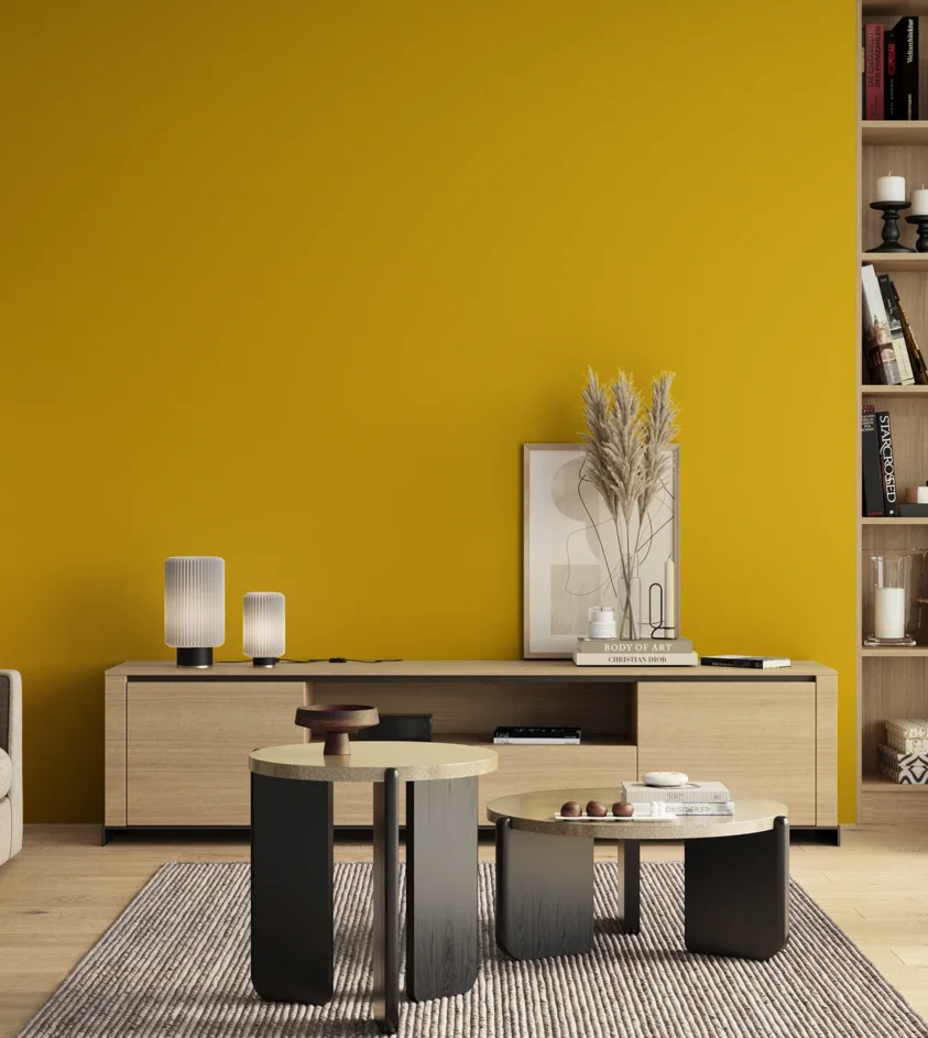 P10_SNIEZKA_salon_00_neutral_GREY_S1080-Y