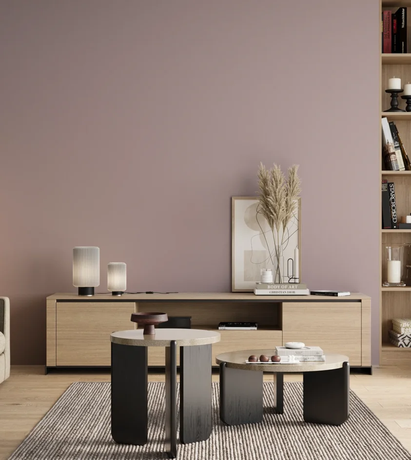 P10_SNIEZKA_salon_00_neutral_GREY_S2010-R20B