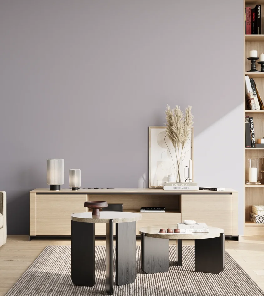 P10_SNIEZKA_salon_02_poludnie_GREY_S2010-R60B