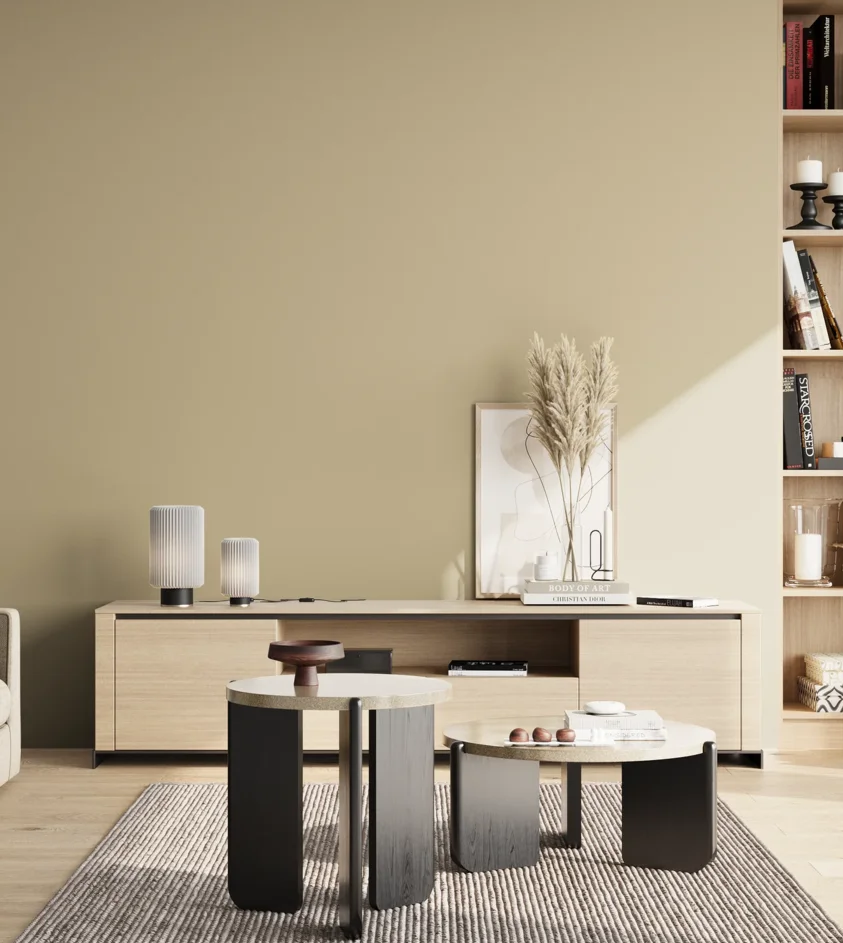 P10_SNIEZKA_salon_02_poludnie_GREY_S2010-Y10R