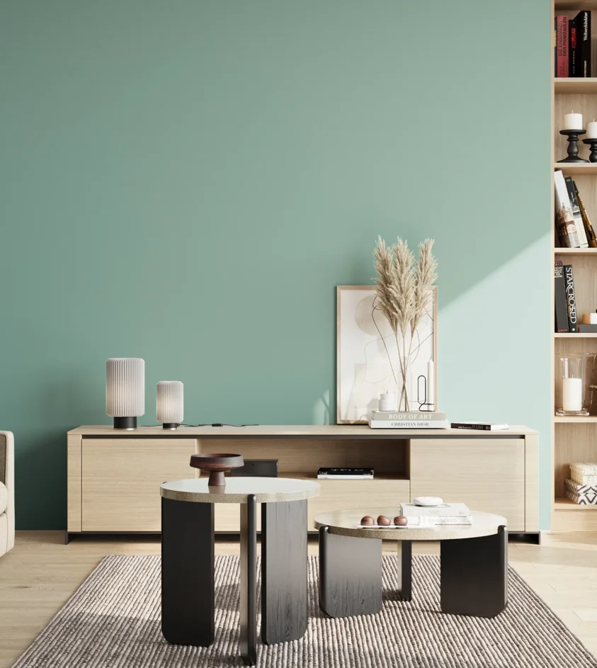 P10_SNIEZKA_salon_02_poludnie_GREY_S2020-B70G