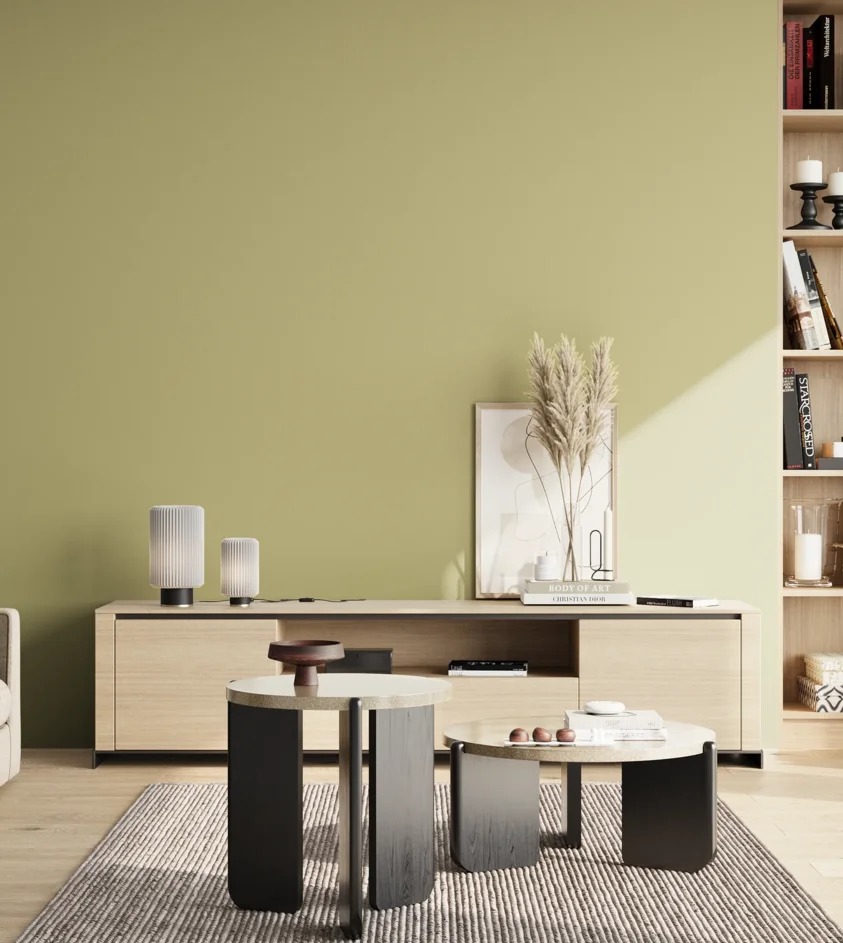 P10_SNIEZKA_salon_02_poludnie_GREY_S2020-G80Y