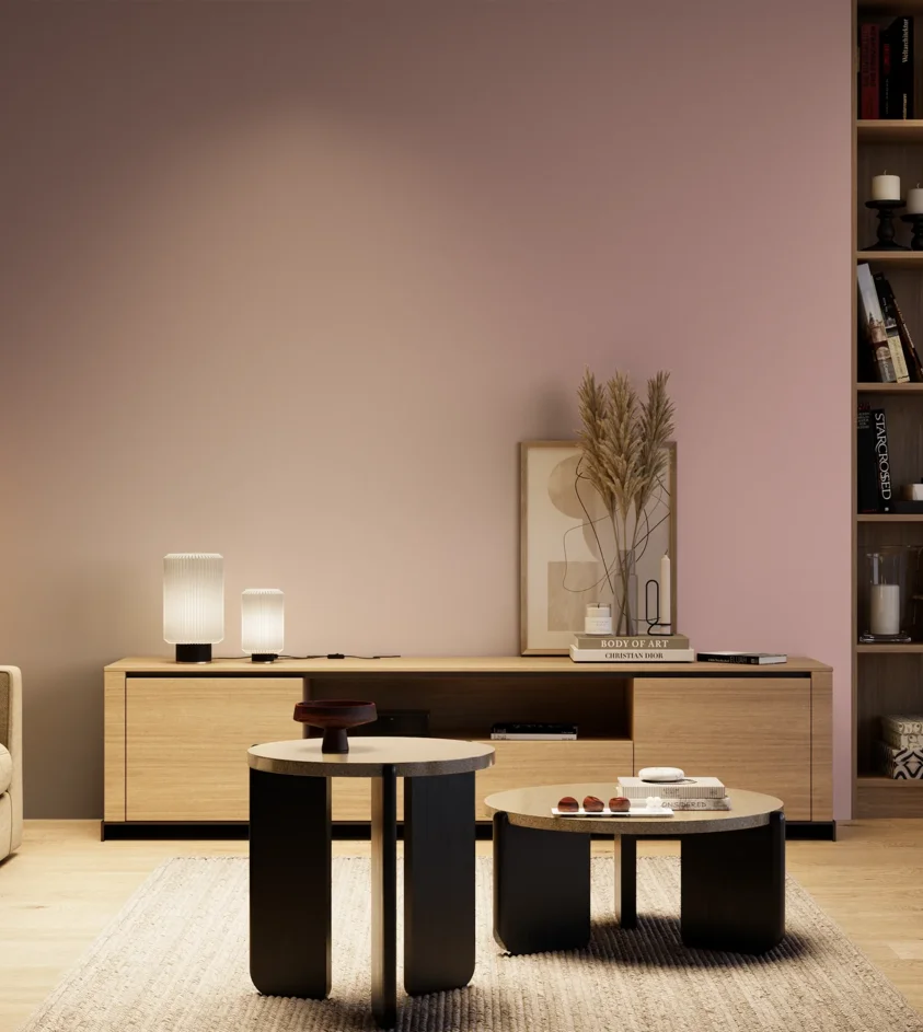 P10_SNIEZKA_salon_04_cieple_GREY_S2020-R10B