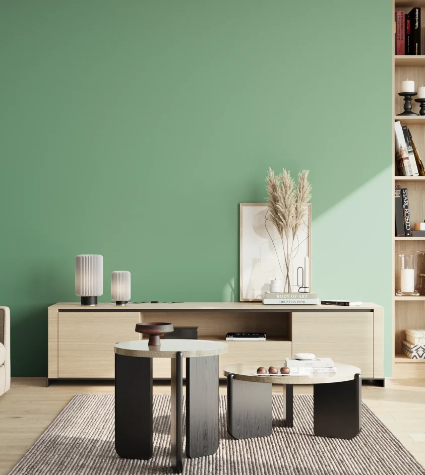 P10_SNIEZKA_salon_02_poludnie_GREY_S2030-G