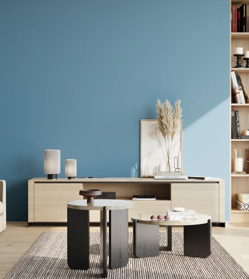 P10_SNIEZKA_salon_02_poludnie_GREY_S2040-B