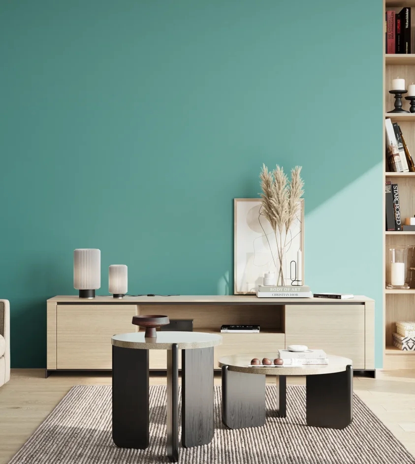 P10_SNIEZKA_salon_02_poludnie_GREY_S2040-B50G