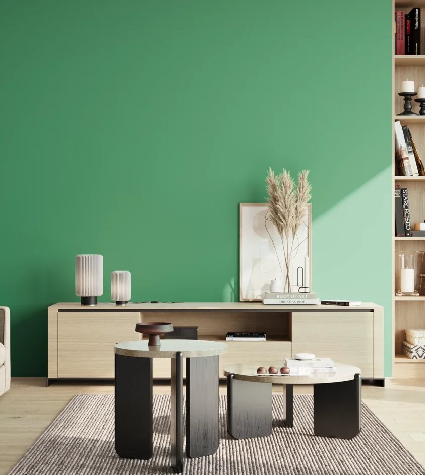 P10_SNIEZKA_salon_02_poludnie_GREY_S2050-G