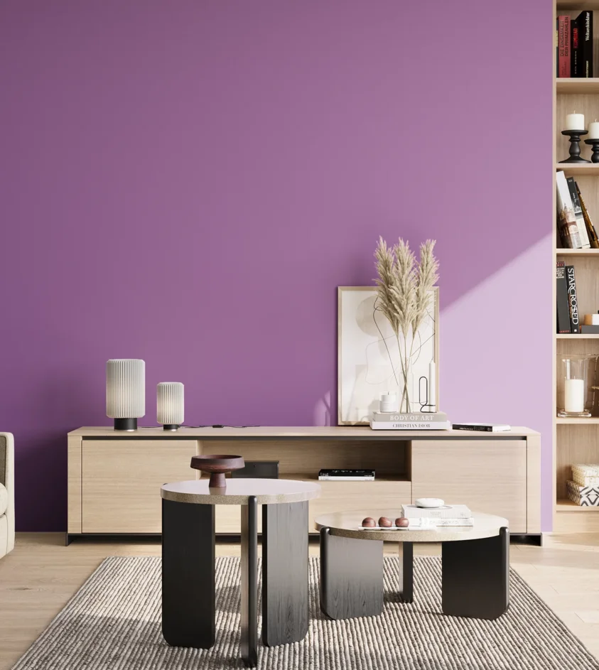 P10_SNIEZKA_salon_02_poludnie_GREY_S2050-R50B