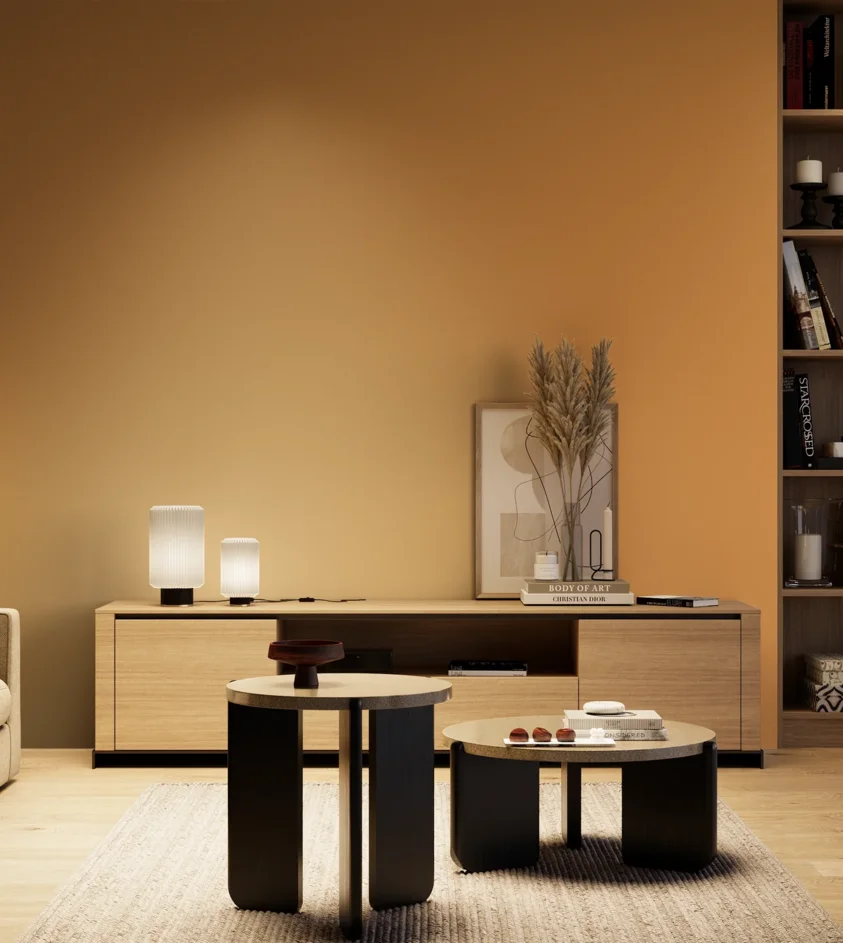 P10_SNIEZKA_salon_04_cieple_GREY_S2050-Y30R