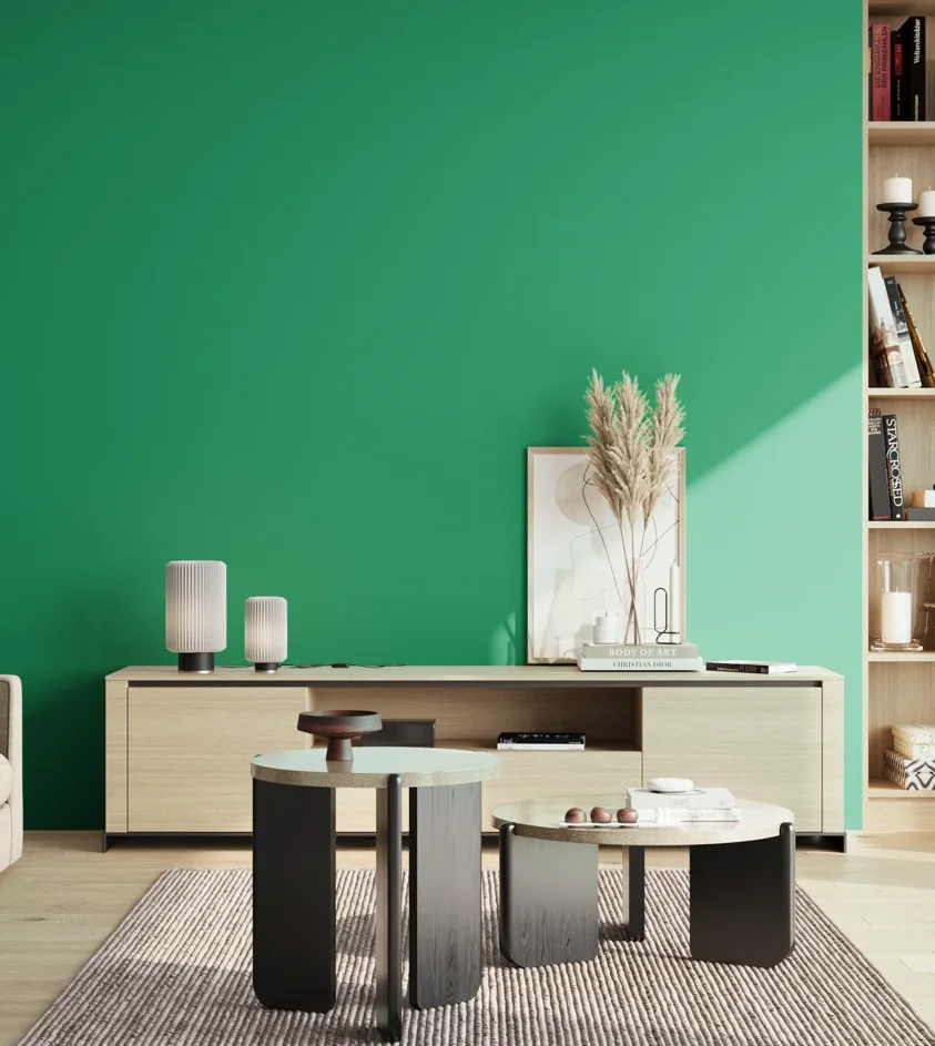 P10_SNIEZKA_salon_02_poludnie_GREY_S2060-G