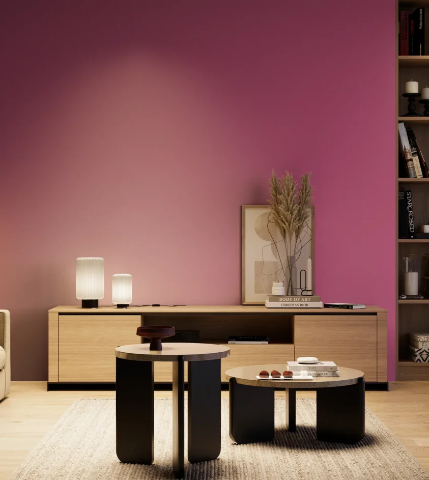 P10_SNIEZKA_salon_04_cieple_GREY_S2060-R30B