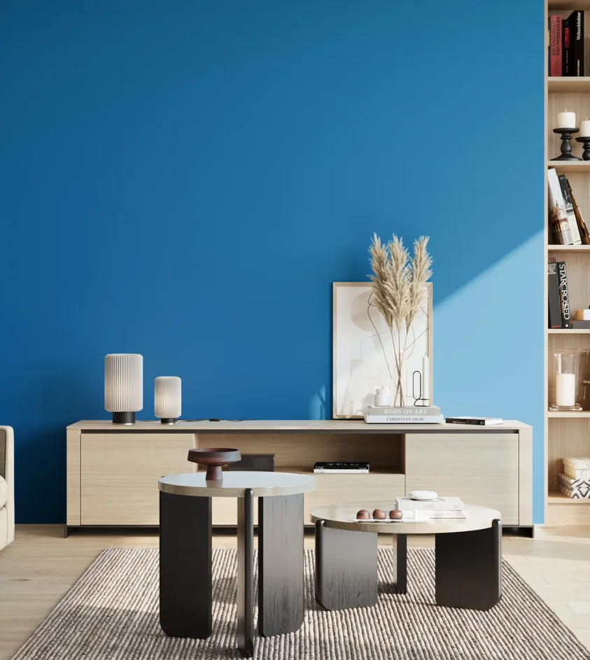 P10_SNIEZKA_salon_02_poludnie_GREY_S2065-R90B
