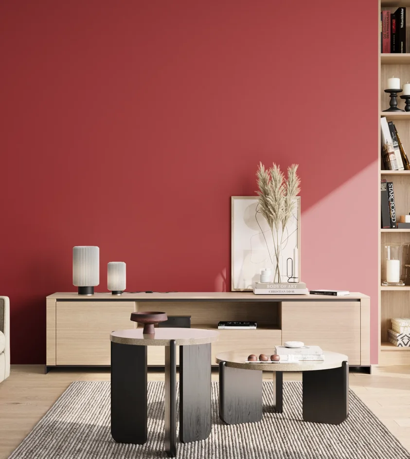 P10_SNIEZKA_salon_02_poludnie_GREY_S2070-R