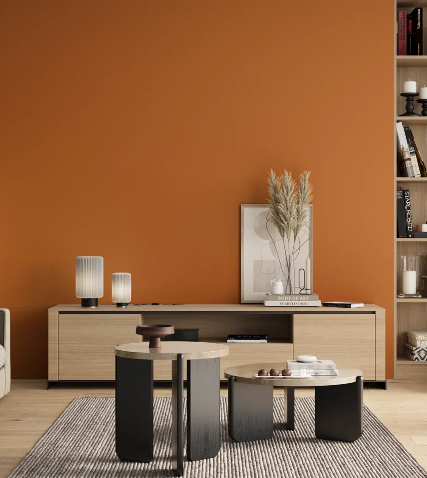 P10_SNIEZKA_salon_00_neutral_GREY_S2070-Y40R